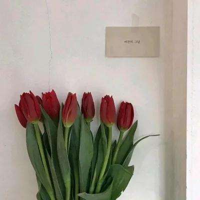 富康彩票旧版本下载安装